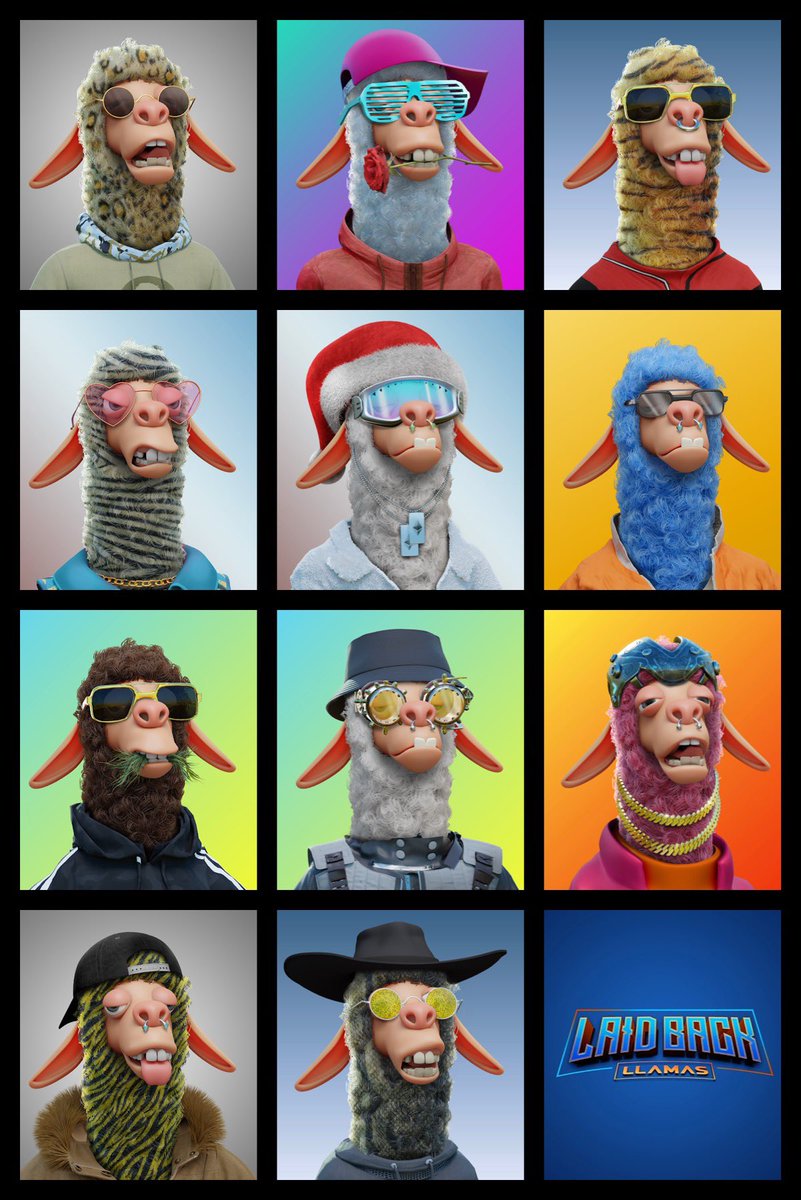 FinaleKid's tweet photo. @RaritySniperNFT @LaidBackLlamas my lucky 11. The best community hands down. #laidbackllamas https://t.co/dzhfacQcNY