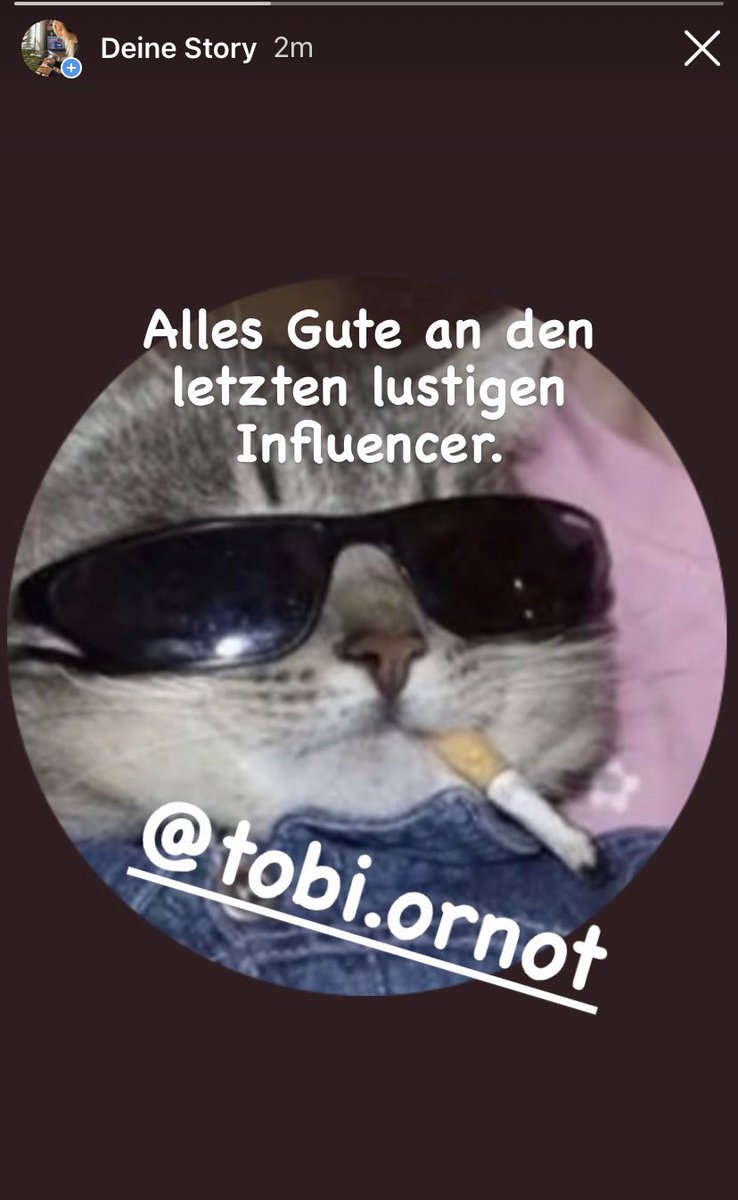 icH Hab es schoN wieder GetaN