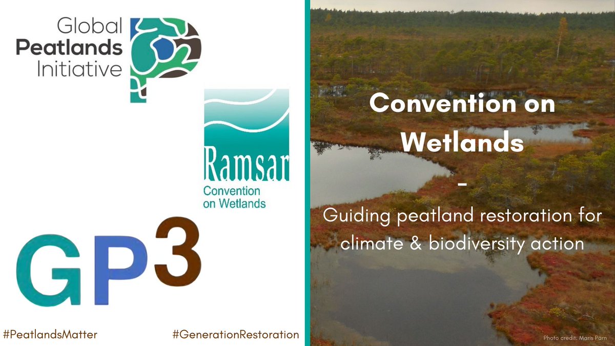 RamsarConv's tweet photo. Restoring #peatlands is a no brainer  #ForNature, climate and people

But we still lack🌍commitment, action and finance needed to scale-up actions

📣NEW GUIDE: rewetting peatlands for climate, biodiversity and SDGs
https://t.co/umv2mQHqS0
#GenerationRestoration 
#PeatlandsMatter https://t.co/buO1YeXgq7