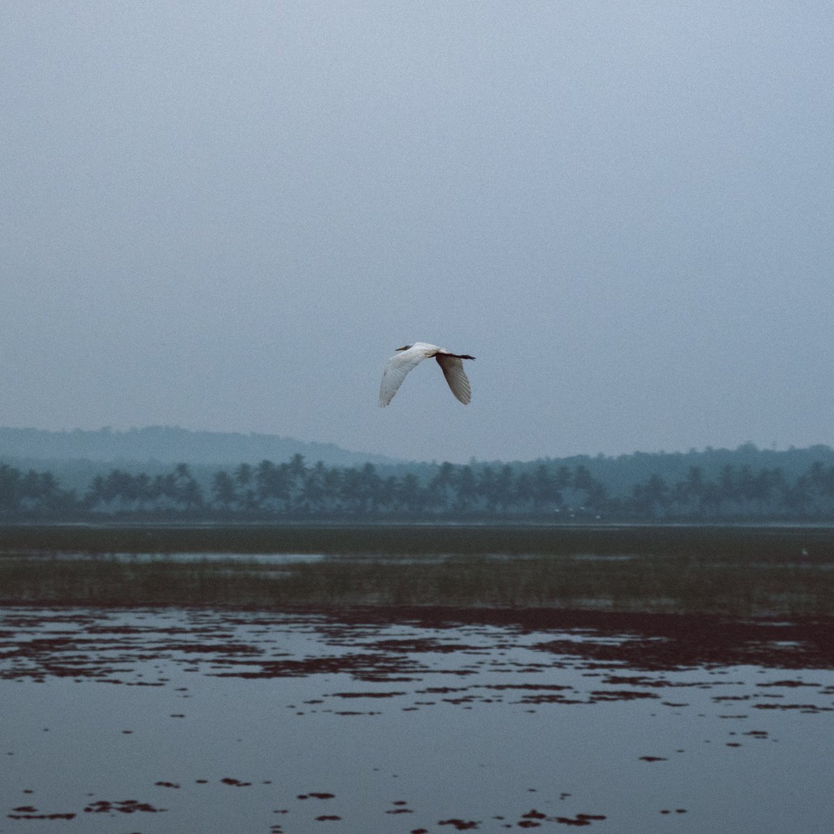 AGNEY B SURESH tweet media