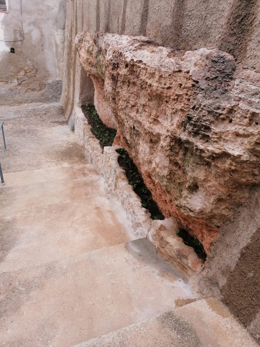 ATivissa's tweet photo. 👷 Durant les últimes setmanes, els treballadors de la brigada municipal de #Darmós han realitzat un treball important al carrer dels Pous.
S'ha arranjat la paret i s'ha embellit amb un marge amb jardinera.
👍 Seguim treballant per #Darmos.
#treballemxDarmos https://t.co/Ncm7UFWzPw