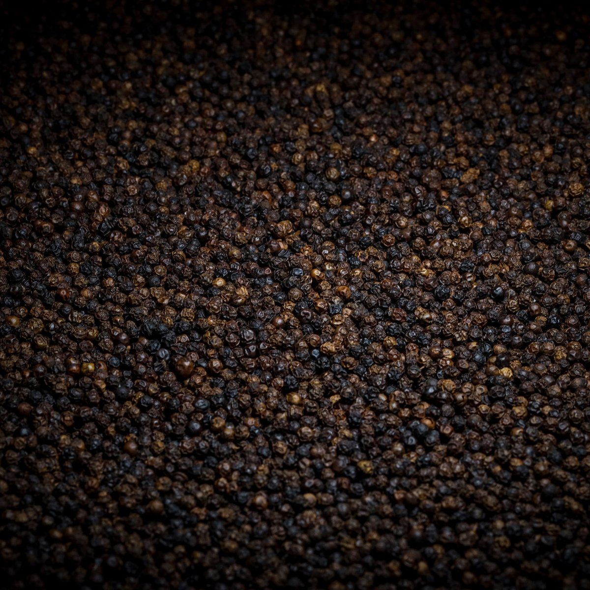 queenoftheast1's tweet photo. For centuries and generations, we have been growing spices. We can now sell them directly to you, and so farmers and the villagers around us are the primary stakeholders. Look up what we do at  https://t.co/51oOFPybiL https://t.co/xWzCjxy094