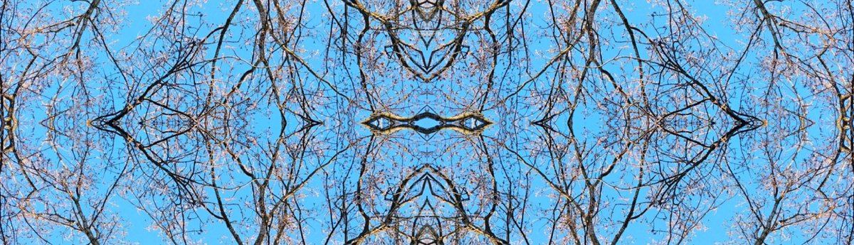ZAwizzard's tweet photo. good money morning evening 🙏🏻💜🧞‍♀️
hereby introducing #4th dimension harmonic geometry
the perfect complement 🔹 twitter header/office wall
currently at: name your price🪞
&amp; #free #nft #on any meouz purchase
&amp; #free #nft #on every 12rt=1 #free #nft #free 
like &amp; follow if genuine https://t.co/UkJg6Q85z6