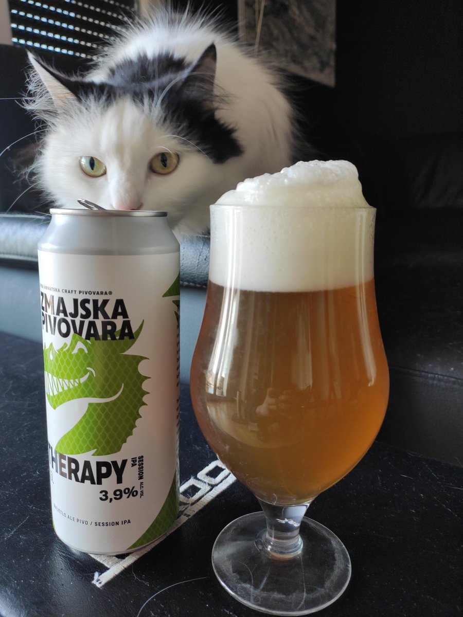 MilinaAdri's tweet photo. Ovaj tjedan je trebao bit "no drink" tjedan, ali s obzirom da nam je sovjetska letjelica prošla nekoliko stotina metara od nebodera mislim da je vrijeme za malo terapije. https://t.co/Nhm3X60Wqe