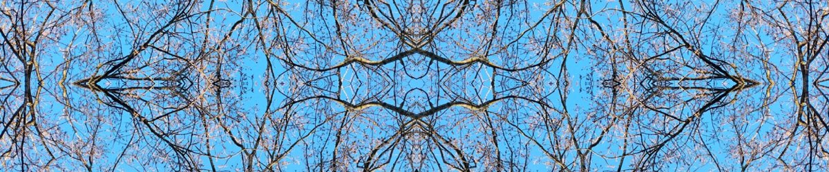 ZAwizzard's tweet photo. good money morning evening 🙏🏻💜🧞‍♀️
hereby introducing #4th dimension harmonic geometry
the perfect complement 🔹 twitter header/office wall
currently at: name your price🪞
&amp; #free #nft #on any meouz purchase
&amp; #free #nft #on every 12rt=1 #free #nft #free 
like &amp; follow if genuine https://t.co/UkJg6Q85z6