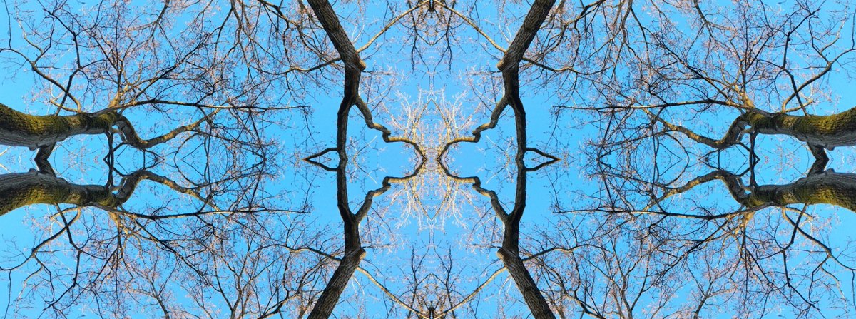 ZAwizzard's tweet photo. good money morning evening 🙏🏻💜🧞‍♀️
hereby introducing #4th dimension harmonic geometry
the perfect complement 🔹 twitter header/office wall
currently at: name your price🪞
&amp; #free #nft #on any meouz purchase
&amp; #free #nft #on every 12rt=1 #free #nft #free 
like &amp; follow if genuine https://t.co/UkJg6Q85z6