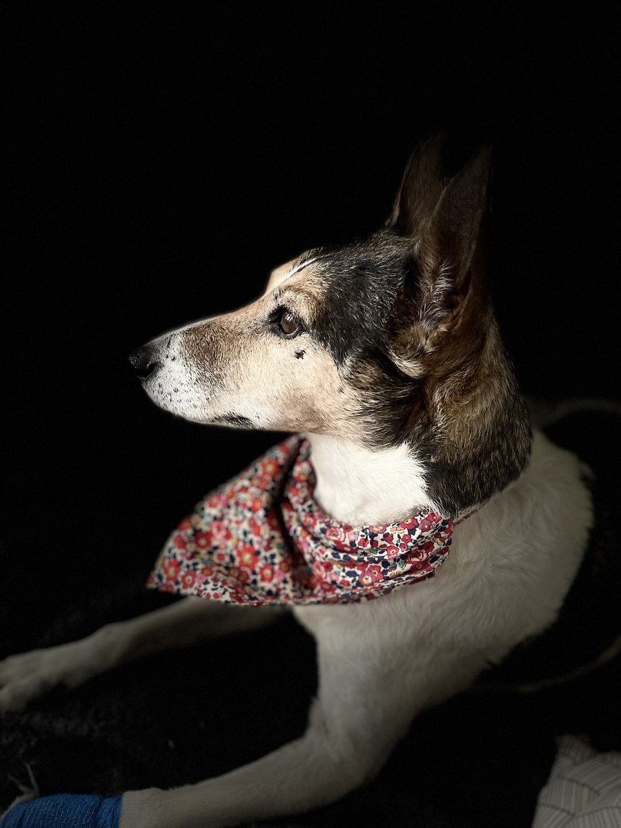 Me and Auntie Patch, posing and pondering 🤔