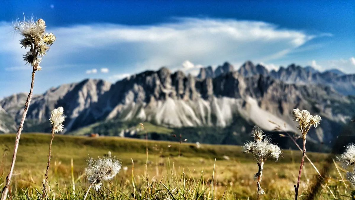 jaeger_d_berge's tweet photo. #TrailrunningTuesday in Südtirol.
3 Gipfel Trailrun auf der Plose im Eisacktal
#Trailrunning #TimeToTrailrun #BeatYesterday @suedtirol_info
@Hochpustertal
https://t.co/07Stix69Db https://t.co/w73szAw5nB