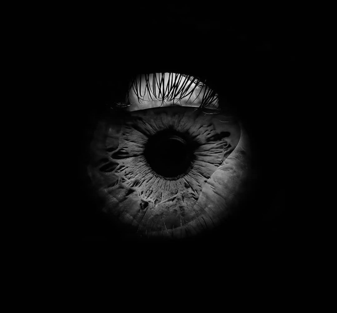 🦉amruthavm96.eth tweet media