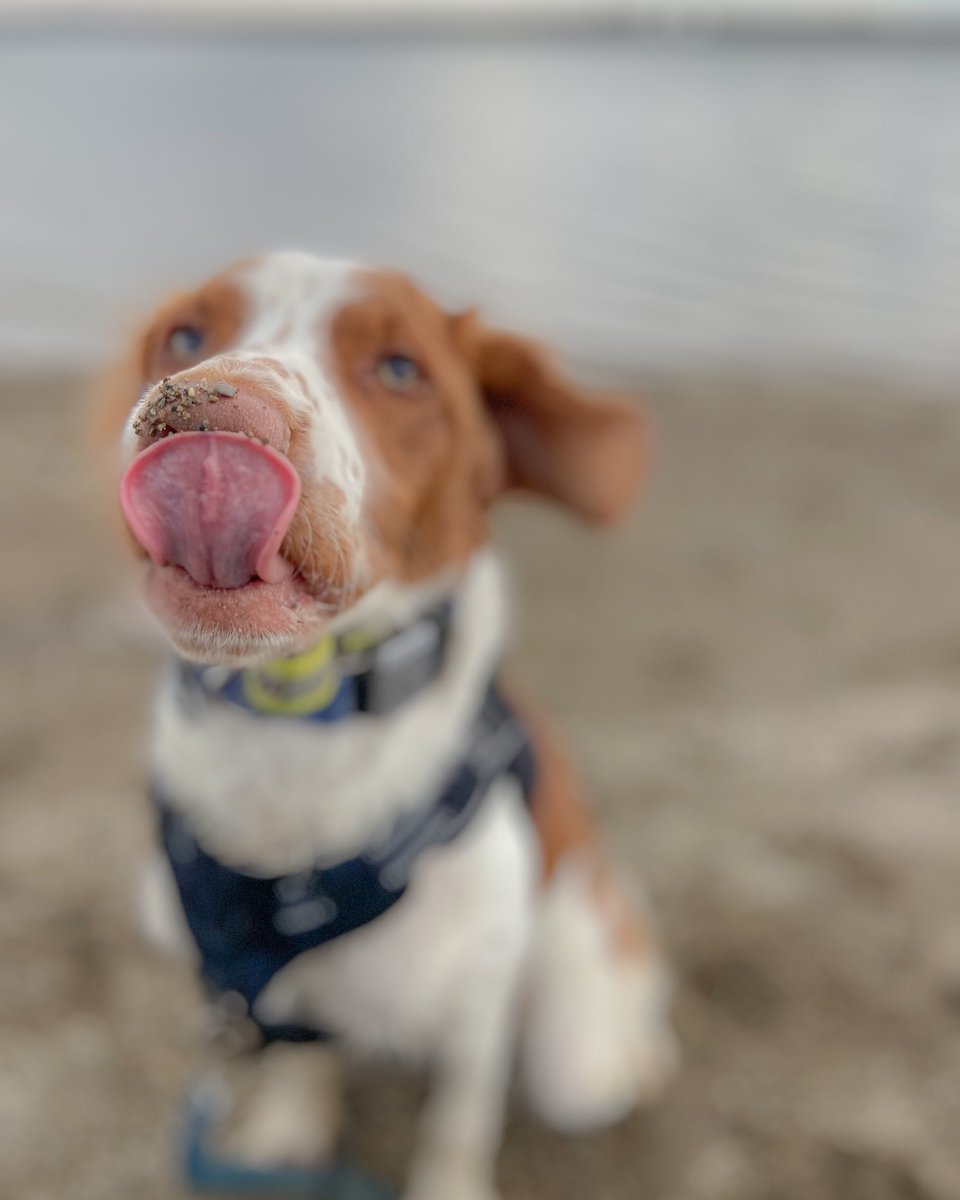 Jayco and Gunner tweet media