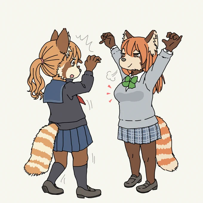 熾烈を極めたレッサーパンダの威嚇 