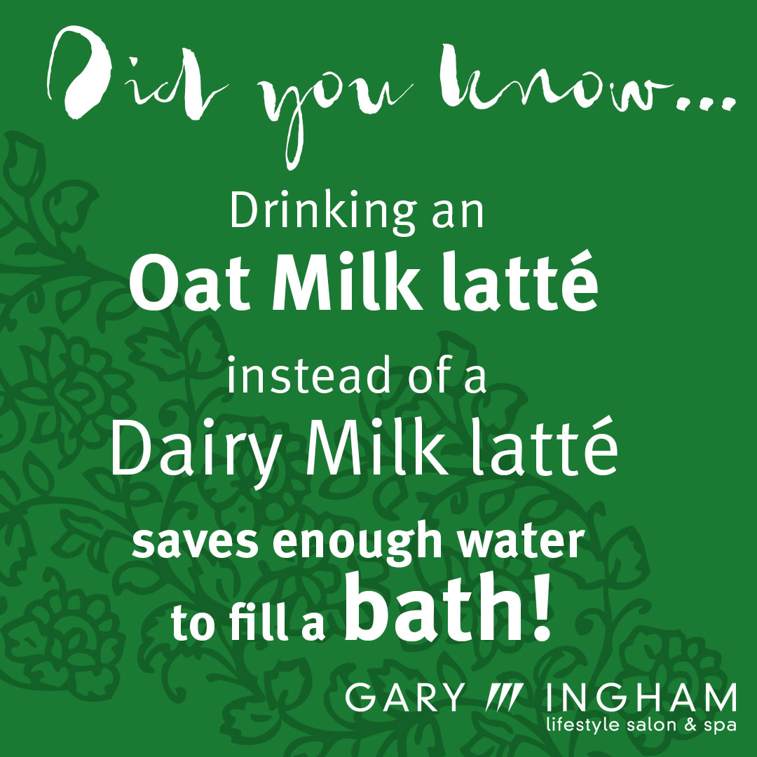 #ecosalon #avedauk #minorfigures #oatmilkfacts