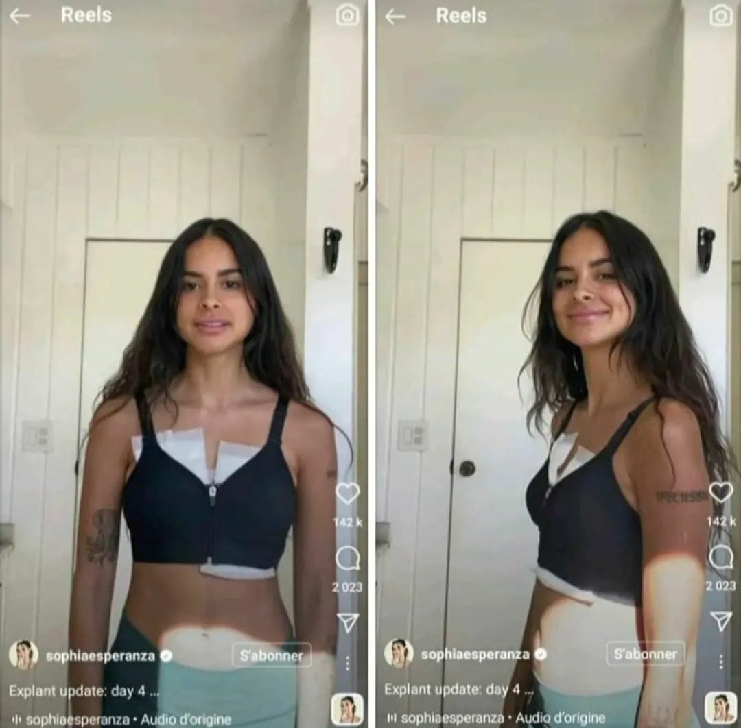 Hibaaa 🩺🐾 tweet media