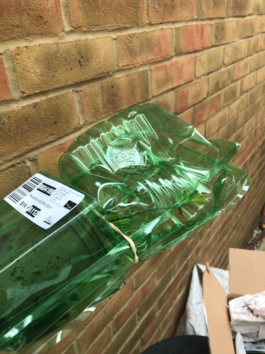 Nature_matters's tweet photo. Buying plants is a competitive marketplace. I chose to give @Jparkersbulbs a go. Alas, they use the cheapest and worst delivery firm @Hermesparcels who threw my package over a fence onto a concrete path damaging the contents. Will stick with @srkitchengarden from now on. https://t.co/pOvzPCiB9v