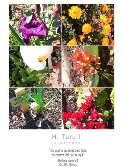 scea_cat's tweet photo. La primavera al #BoscTurull ja s'olora!! I té als usuaris dels horts ben inspirats 😍
Ens comparteixen aquestes imatges i poema, una petita mostra del plaer de treballar la terra i de conrear una parcel·la al Bosc Turull💚🧑🌾🥕
Gràcies i bon cap de setmana!
#BiodiversitatUrbana https://t.co/c3mhKw6gMi
