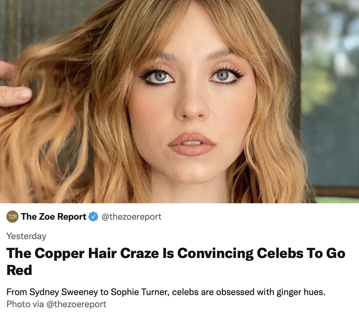 HowToBeARedhead's tweet photo. redheads, what do you think about this? https://t.co/bfITuZTRWh