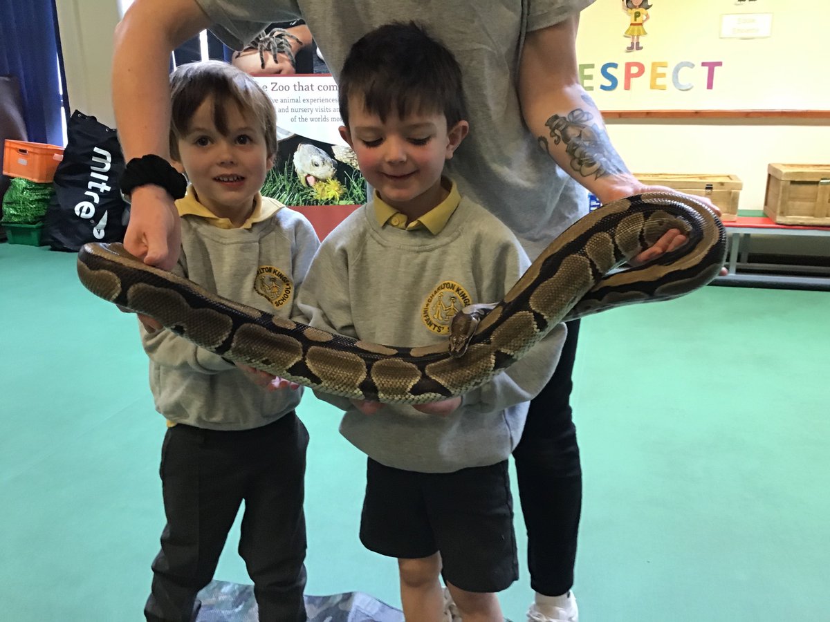 blueclassckis's tweet photo. Here are some more jungle photos from when we met our slippery friend on Monday... https://t.co/d3izgYN3MH