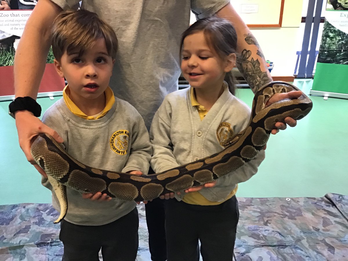 blueclassckis's tweet photo. Here are some more jungle photos from when we met our slippery friend on Monday... https://t.co/d3izgYN3MH