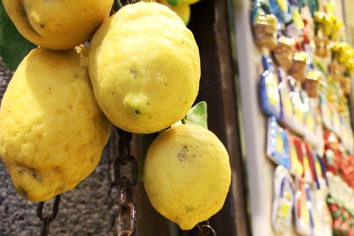Mybus_Italy's tweet photo. 季節はあっという間に過ぎもう3月！春先はレモンの旬でもあるんですよ🍋
いま、ナポリ近郊のアマルフィ海岸の斜面はレモンがたわわに実り、爽やかな香りに包まれる時期でもあります。
#loveイタリア #likeitaly #レモン @Italia https://t.co/MIKIrt7qcD