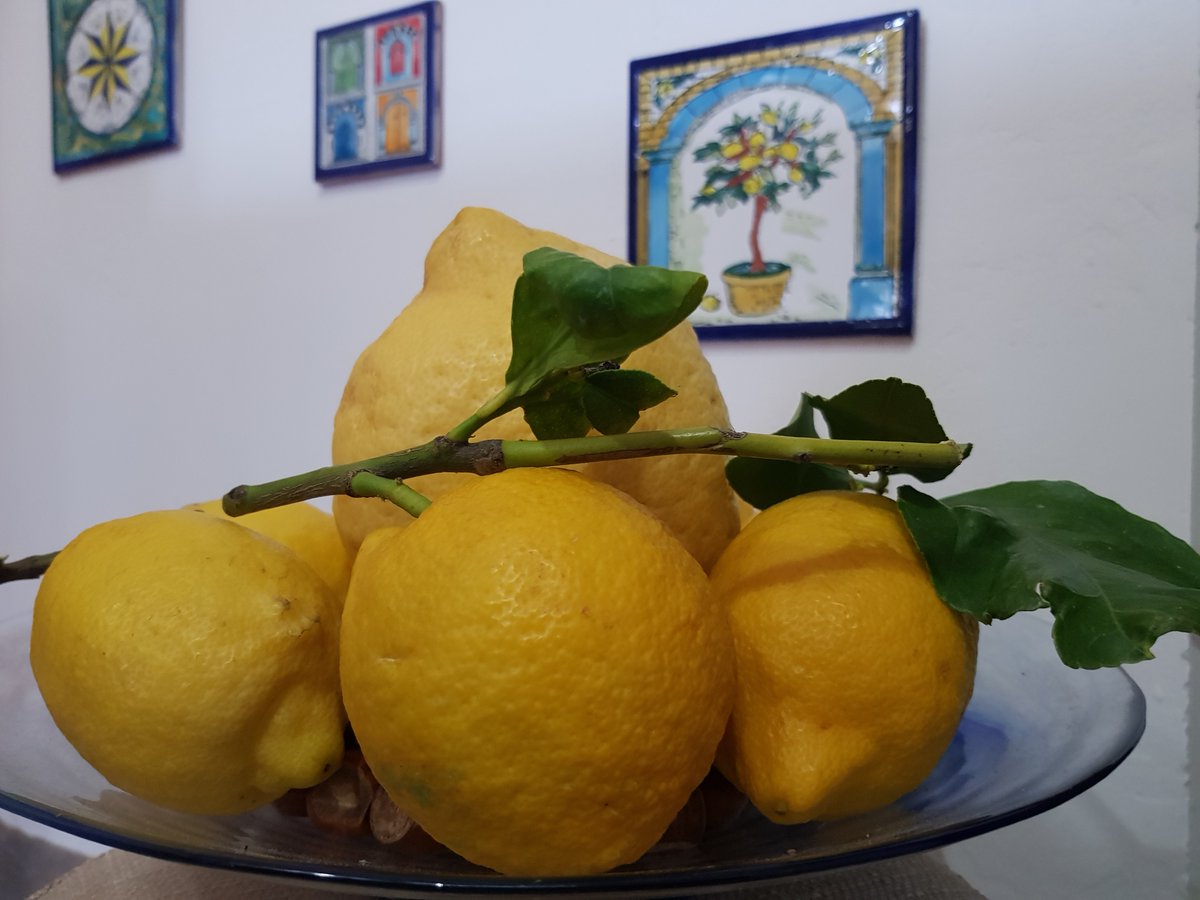 Mybus_Italy's tweet photo. 季節はあっという間に過ぎもう3月！春先はレモンの旬でもあるんですよ🍋
いま、ナポリ近郊のアマルフィ海岸の斜面はレモンがたわわに実り、爽やかな香りに包まれる時期でもあります。
#loveイタリア #likeitaly #レモン @Italia https://t.co/MIKIrt7qcD