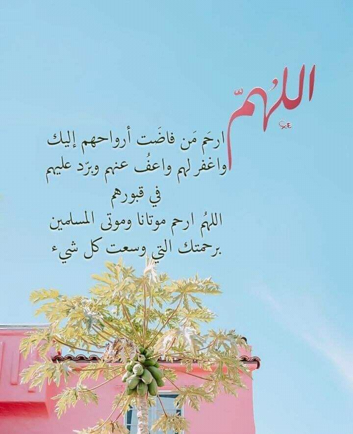 اللهم ارحم والدي واغفر له واعف عنه ووسع مدخله واكرم نزله واجمعنا به في الفردوس الأعلى من الجنة
اللهم ارحم موتانا وموتى المسلمين جميعا

#ساعه_استجابه