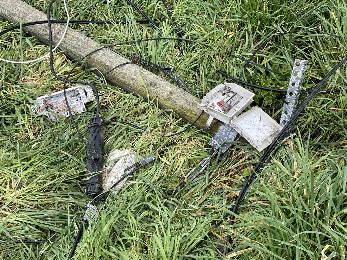 Michèle Le Goff tweet media