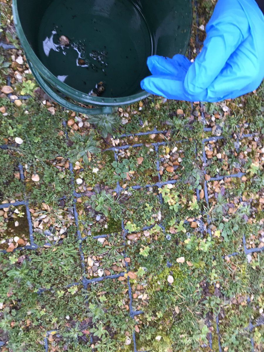 TLA Science Faculty tweet media