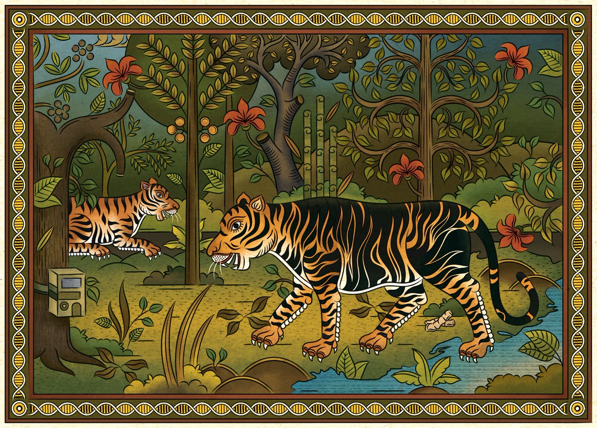 Sudarshanshaw93's tweet photo. A folk representation of the rare 'black tigers', the small and isolated population of which inhabit the Similipal Tiger Reserve, Odisha.

Commissioned artwork for @uramakri (National Centre for Biological Sciences).

#melanistictiger #similipal #odisha #folkart #india #artwork https://t.co/S26gj8OVbj