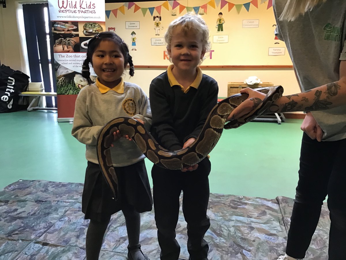blueclassckis's tweet photo. And some more! 🐍 https://t.co/82AeC4LTBZ