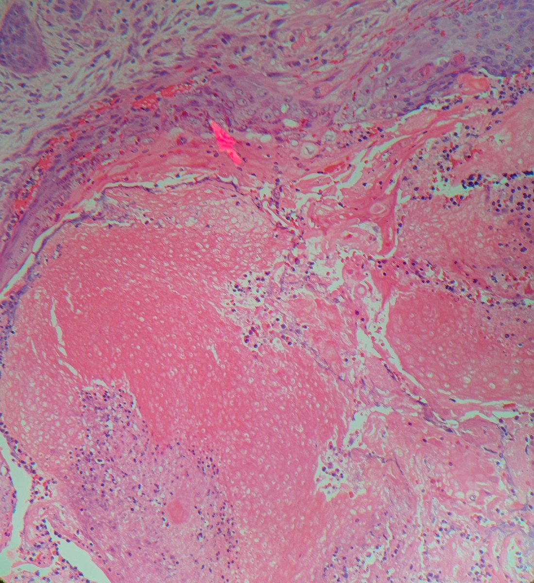 Dermnemonics tweet media