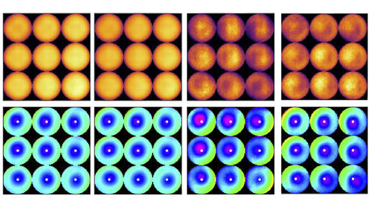 OpticaPubsGroup's tweet image. An Editors&apos; Pick via #OPG_BOEx: Quantitative Jones matrix imaging using vectorial Fourier ptychography ow.ly/wQyW50IfnuR #Microscopy #PolarimetricImaging @DukeU