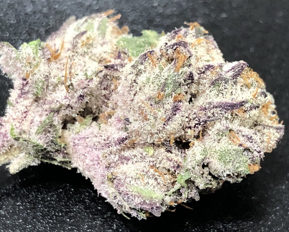 cannalukey's tweet photo. 🥶
#FrostyFire #Cannabis #SayNoToMids https://t.co/akBqWeYuew