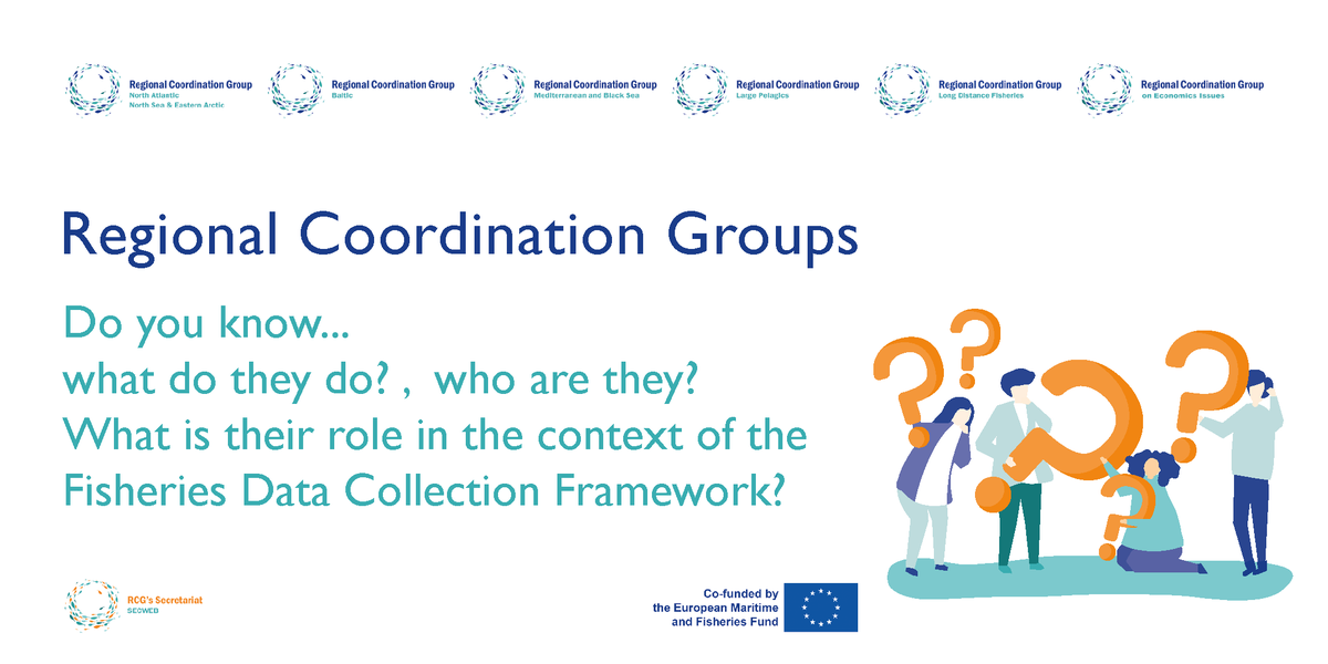 What do you know about the Regional Coordination Groups of the Fisheries #DataCollection Framework? 

We are going to use this account to guide you through this information. 

Get a deep dive visiting fisheries-rcg.eu

#EU_DGMARE #FIsheriesDCF #EUMAP #FisheriesRCG #EMFF