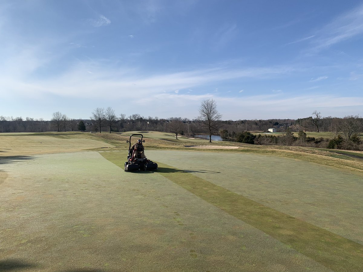 PCagronomy's tweet image. Second mow on greens and knocking down new tee/fairway nursery. Going to be a nice day!!