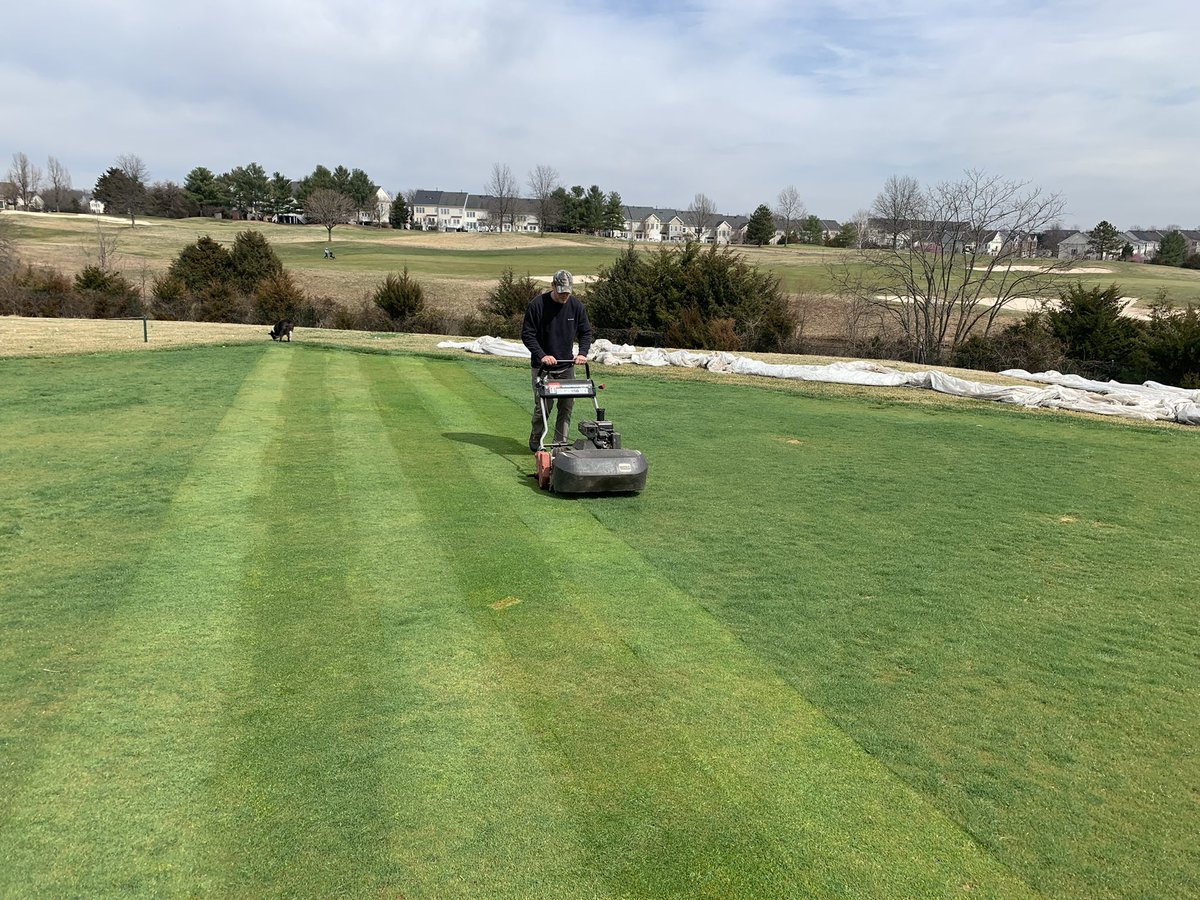 PCagronomy's tweet image. Second mow on greens and knocking down new tee/fairway nursery. Going to be a nice day!!