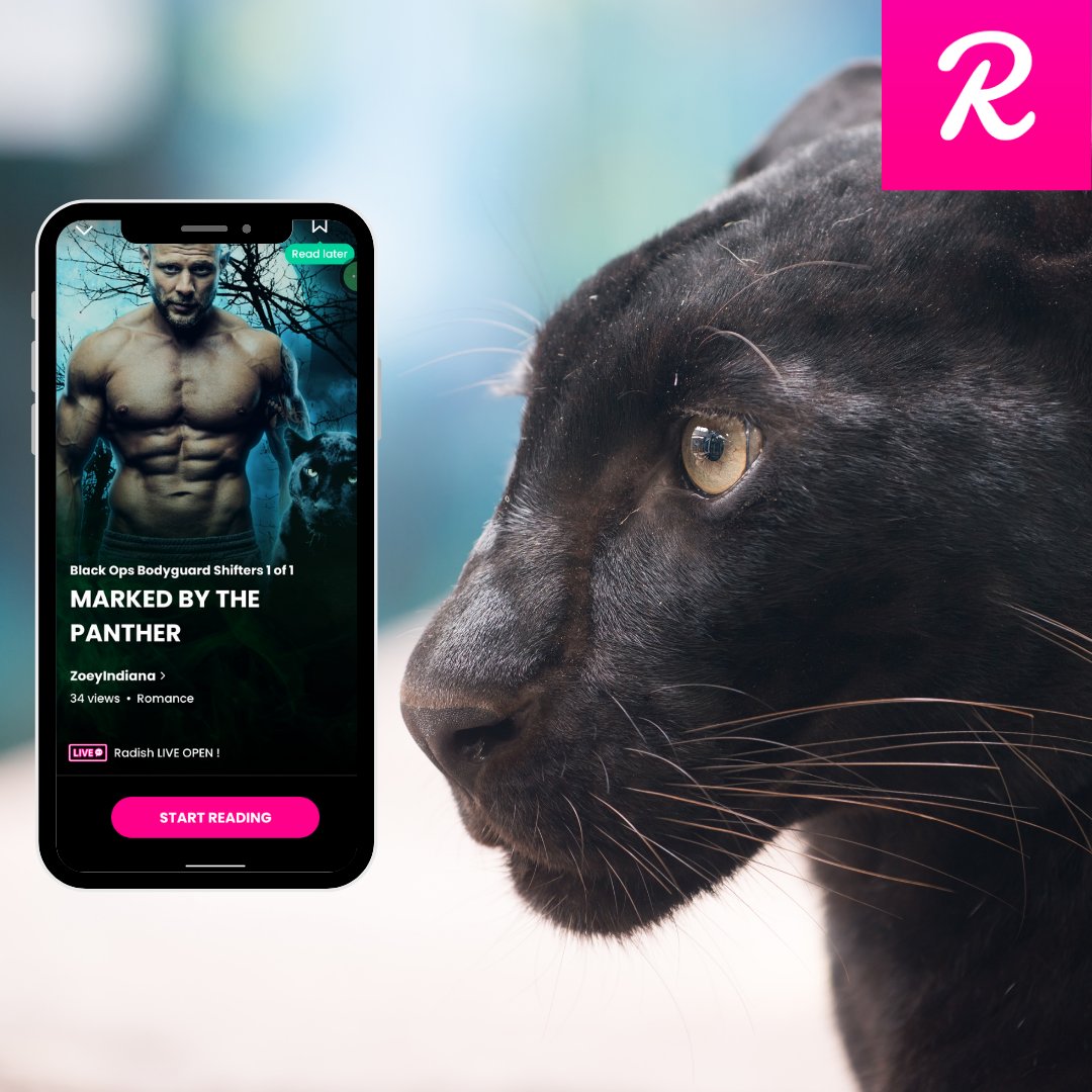 ZoeyIndiana's tweet photo. Read the complete season, Marked by the Panther ~ At the worst possible moment, his mate enters his life like a wrecking ball. https://t.co/6EcO6dOjBK  @radishfiction @radish_fiction #radishfiction #radishfictionbooks #radishfictionauthor #writingcommunity #serialfiction #Romance https://t.co/xrRkCAcGHq