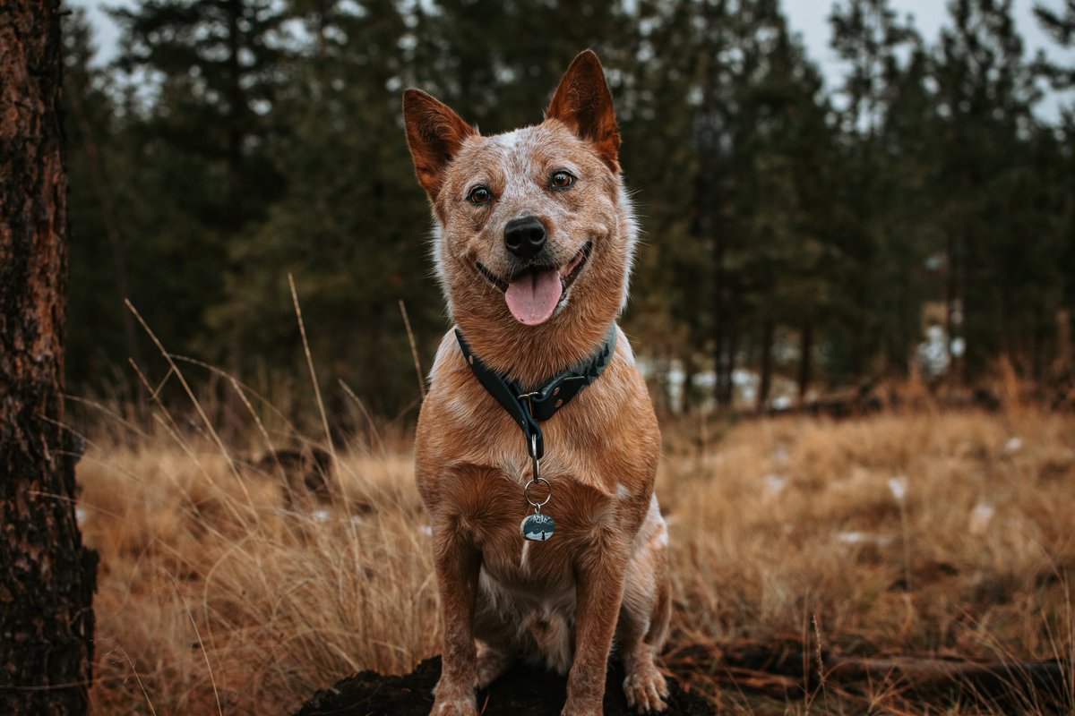 Wildhert Co tweet media