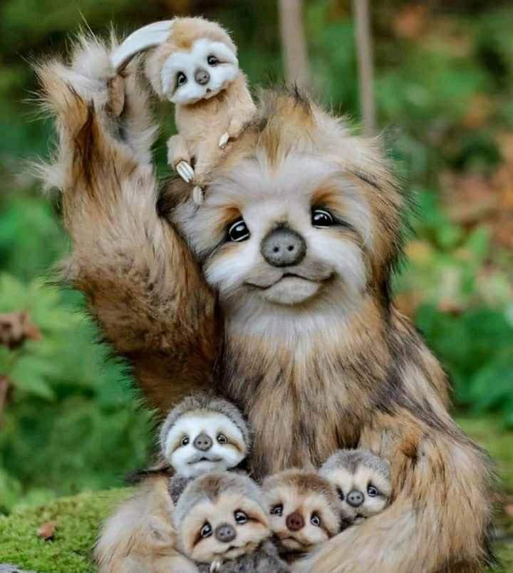 Krystyn31197823's tweet photo. Cute and adorable ...❤️ https://t.co/7rerWujulk