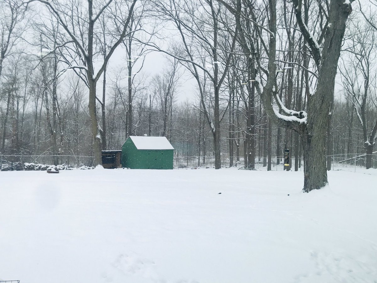 jamiefitz81's tweet photo. First two pictures are from yesterday … playing in the yard with the pups … the second two are from this morning. Literally, less than 12 hours. 😐🤦🏼♀️ #PureMichigan #IWantSpring https://t.co/m3nrxEwuxZ