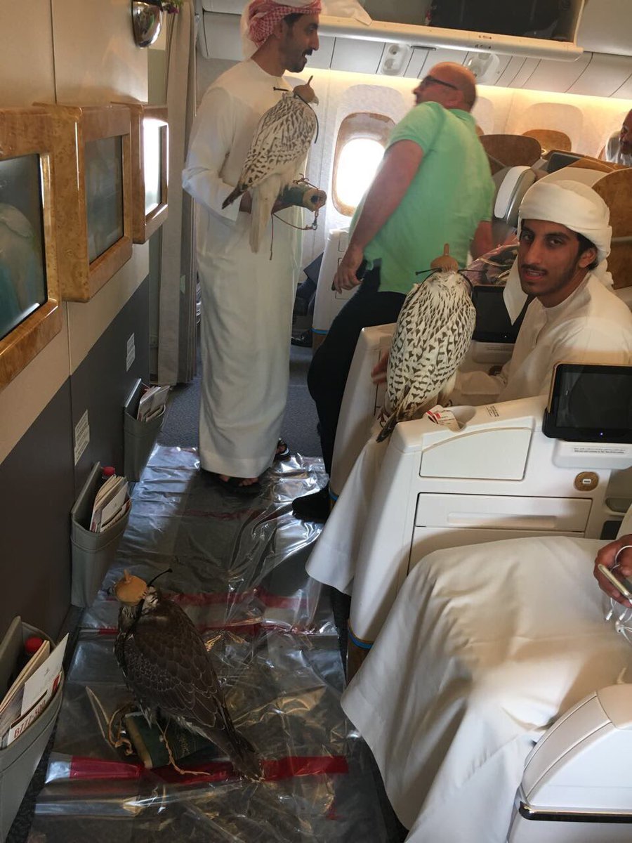 Hey <a href="/emirates/">Emirates</a> I paid $6,000 for this plane ticket

I would've loved a heads up that Falcon breeders were going to be sitting next to me and shitting all over the floor.