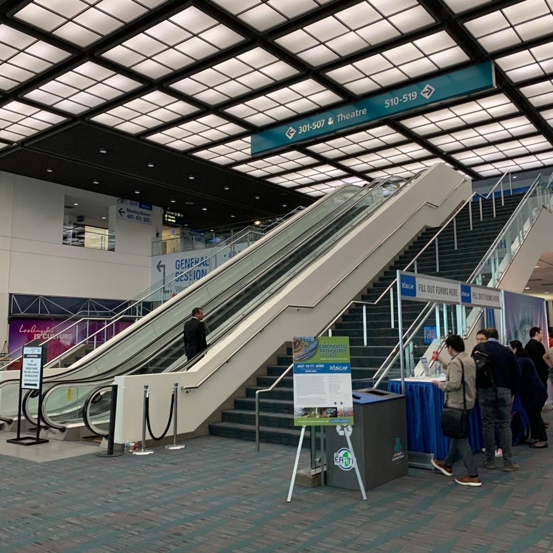 Coming to #USCAP2022? Let's have a TweetUp! 

👉Sun 3/20 1:30PM👈

📍Stairs by Registration

⭐Looking forward to seeing old friends and meeting new ones! 

#IAMUSCAP #USCAP22 <a href="/TheUSCAP/">USCAP</a>
