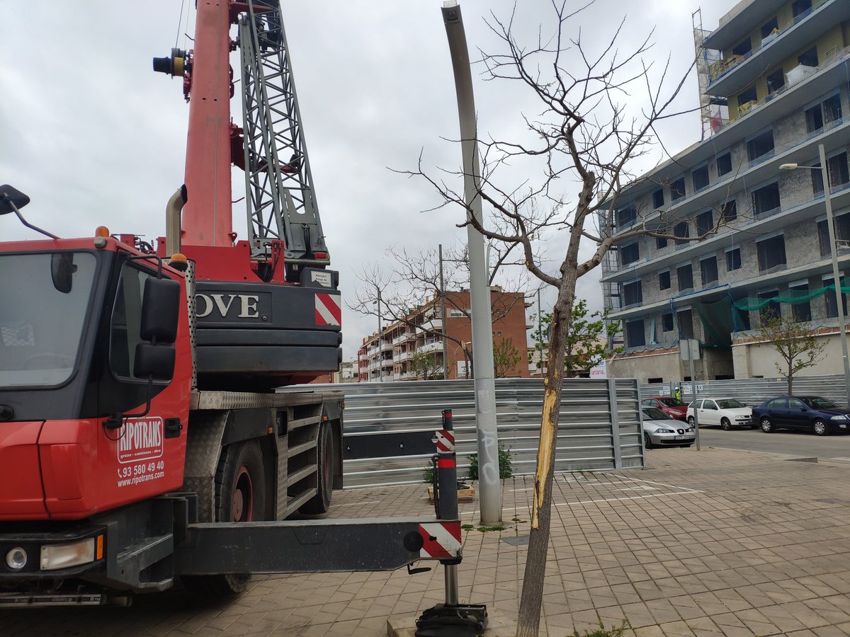 Sr. Rubens tweet media