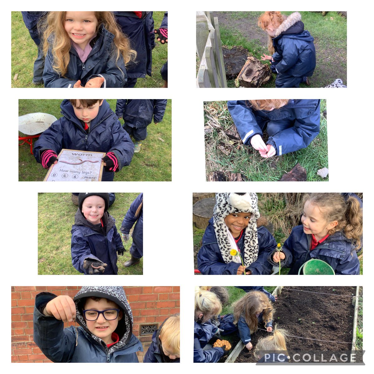 Miss_Sharp_EYFS's tweet photo. We were looking for mini beasts and signs of spring in forest school @FallaParkSchool this week. @MrsHallFalla even found a caterpillar 
🐛 🪱🐜🕷
@Miss_Carr_Falla @ReayLeandramiss #EYFS #forestschool #BritishScienceWeek https://t.co/QG3T9ZGngz
