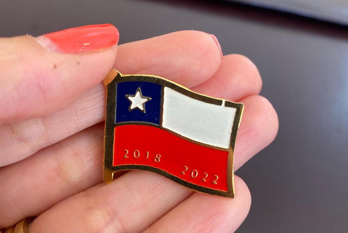 Agradecida enormemente de la oportunidad,de haber representado al <a href="/Min_Hacienda/">Ministerio de Hacienda</a> en Magallanes.Fueron 4 años intensos y desafiantes,
Un orgullo haber contribuido en algo a mi querida región y país 🇨🇱 Gracias💪🏻