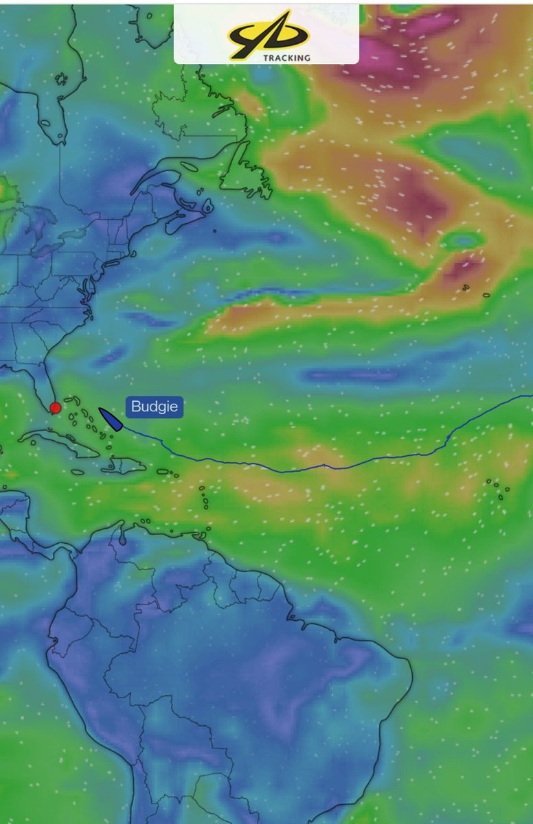 dredman86's tweet image. Jack is so so close to the end now!! Over 4,000 nautical miles rowed between Portugal and Miami. 

All in an effort to raise money for @brainstrust of which he has now raised over FIFTY THOUSAND POUNDS 🙌🏻

Check out @UnitedWconquer for more updates and to sponsor if you can ❤️❤️