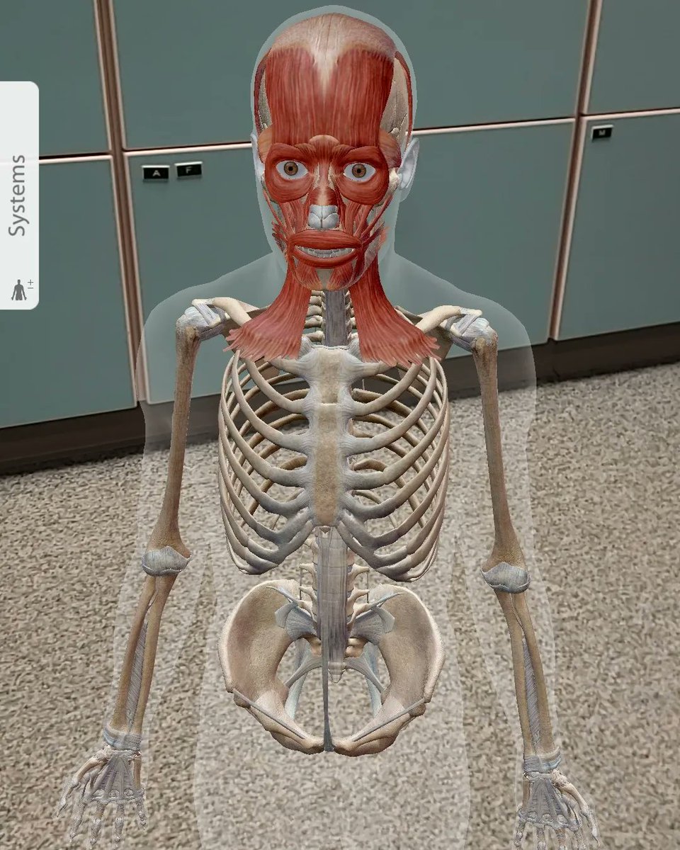 pvbearslibrary's tweet photo. 🥼📚 21st Century Learning @PVBEARSHS

Mrs. Mackes' Anatomy students visited the library to explore muscular systems using AR, and Mrs. Gesualdi's English classes enjoyed some "fireside" reading.

#augmentedreality #reading #21stcenturylibrary #schoollibraries https://t.co/6155h9m7e7