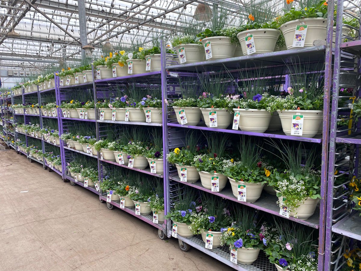BellNursery's tweet photo. Color, color, color! Grab your ready to use containers that are in your local Home Depot today! #Bellsgorgeouscolors @brettguthrie8 @brianfrombell https://t.co/HwYbvUVzfp