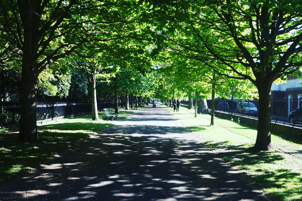 Councillor Eimer McCormack tweet media