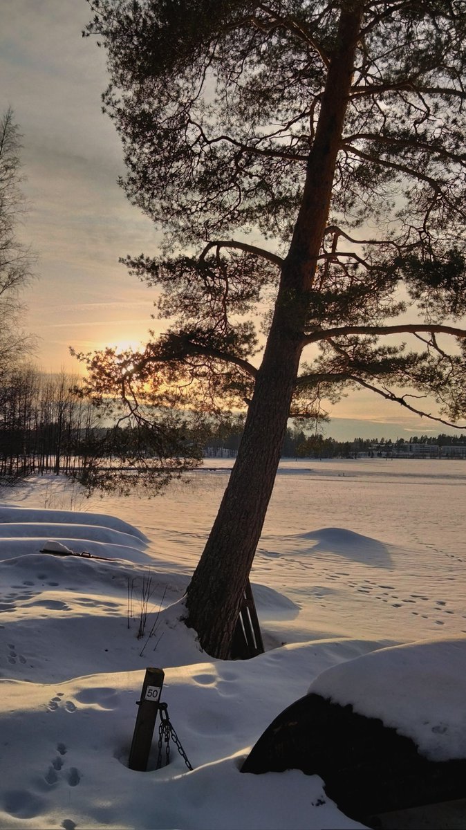 TuijaHauvala's tweet photo. Valoa ja voimaa luonnosta. #läsnäolo #hetket #valotjavarjot #luonto https://t.co/viwWGaW8Qr