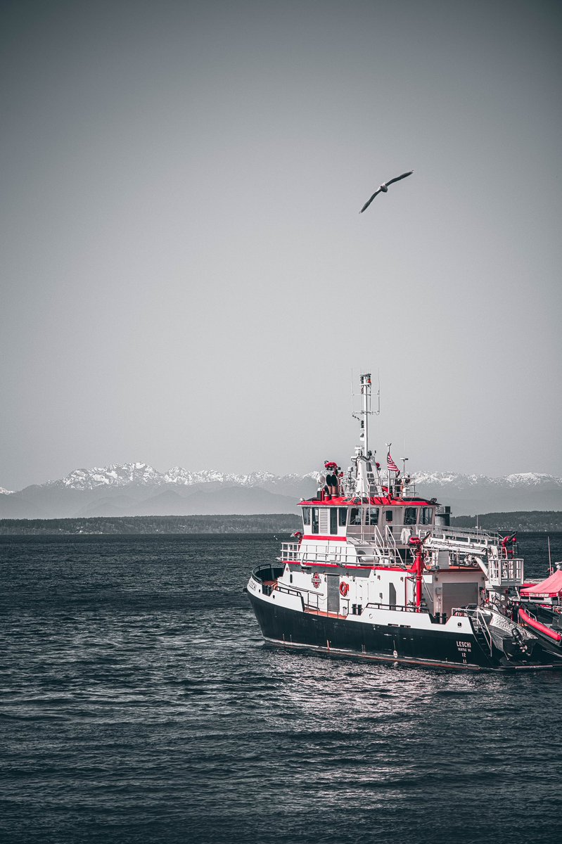 Tanner Kirk tweet media